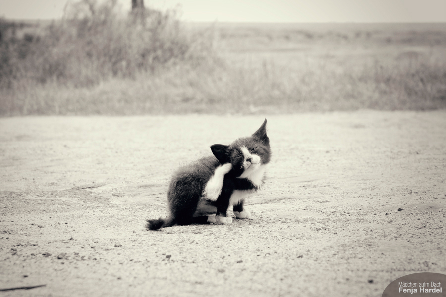 Scratchy.
